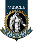 Muscle-Factory